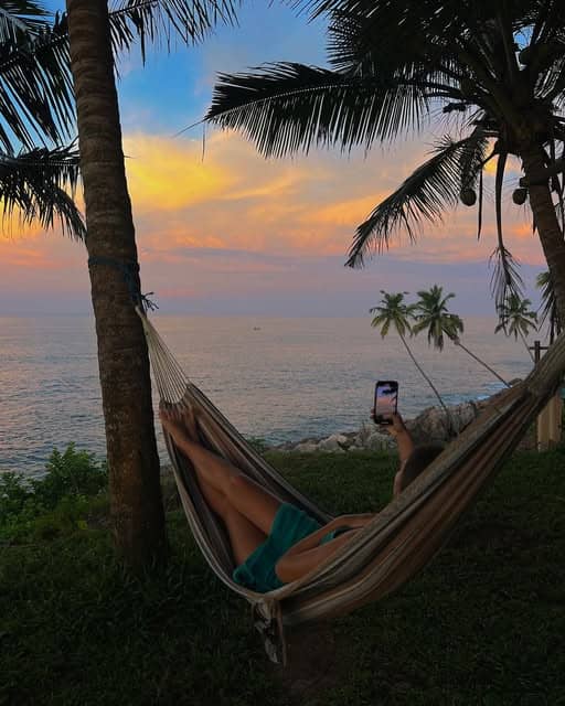 A hammock between the palms at golden hour